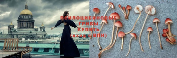 сатива Алзамай